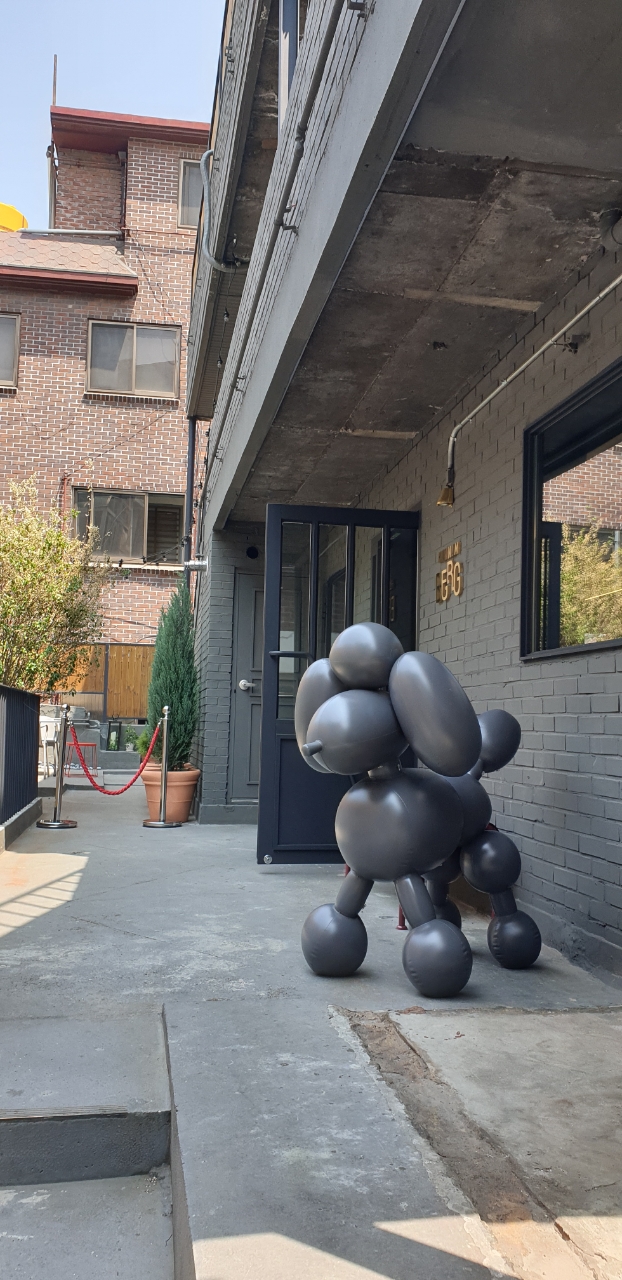 Resized_20190516_125339.jpeg
